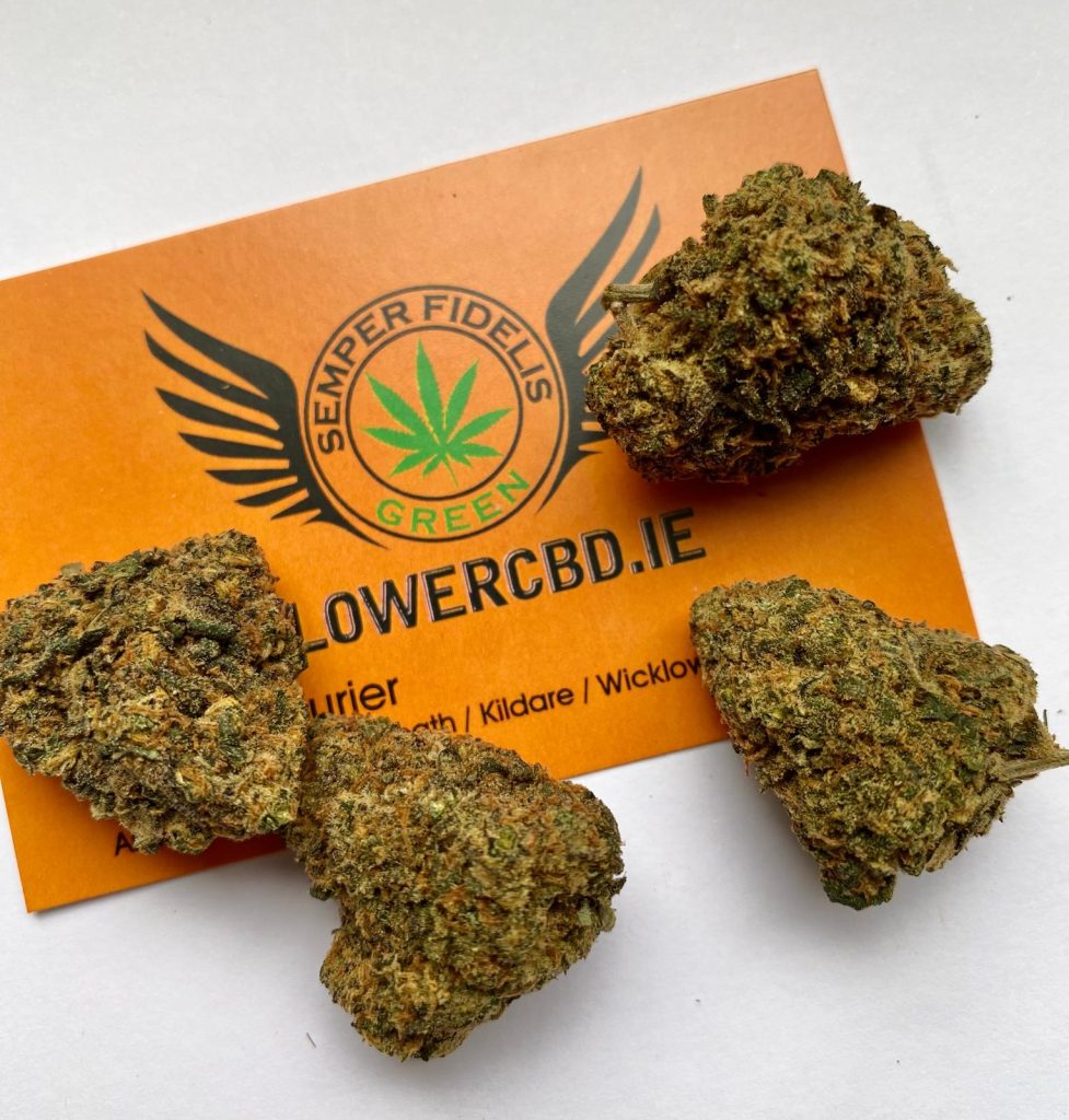 Indoor grown CBD buds close-up